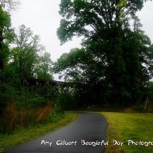 8 by 10 Photography Print Country Road